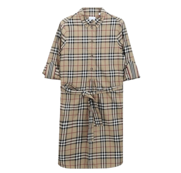 Vintage Check Stretch Cotton Tie Waist Shirt Dress