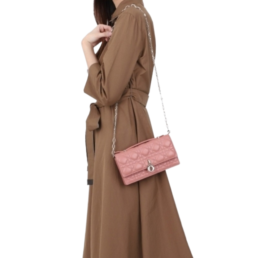 MISS DIOR mini bag