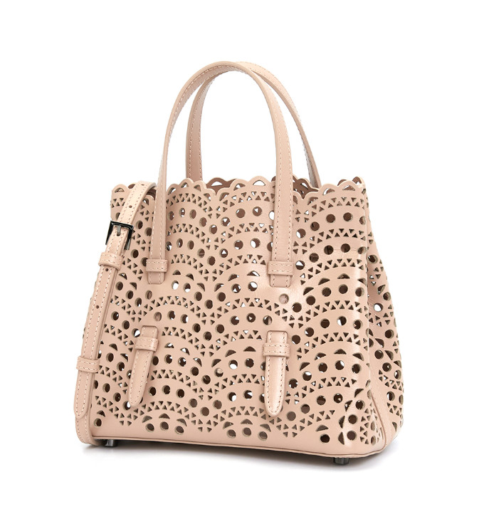 Mina 20 Mini Women's Tote and Shoulder Bag/Crossbody Bag