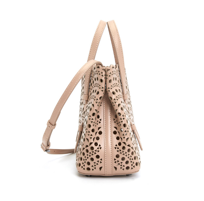 Mina 20 Mini Women's Tote and Shoulder Bag/Crossbody Bag