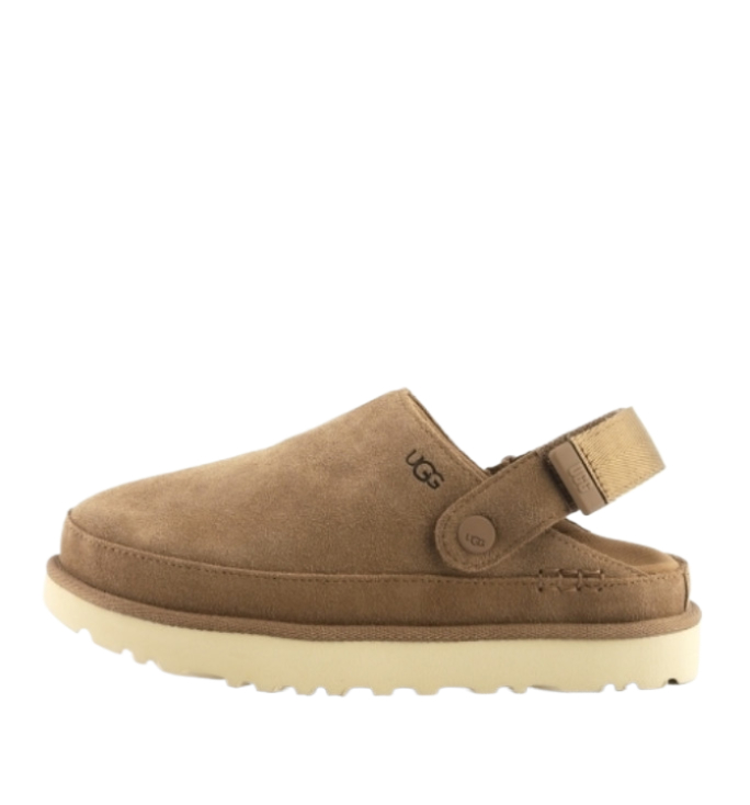 Golden Star Clog