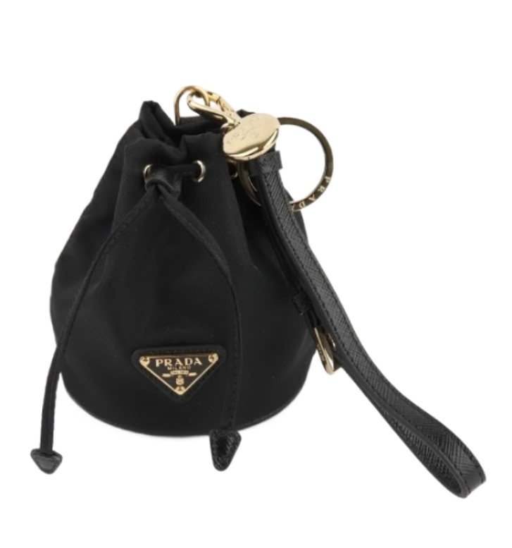 Re-edition 1978 Re-Nylon Mini Pouch