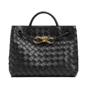 Bottega Veneta Small Andiamo Black