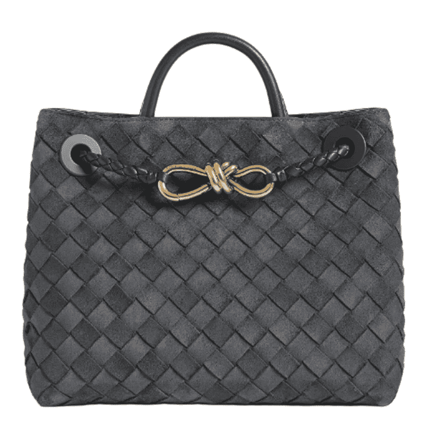 Bottega Veneta Small Andiamo Graphite