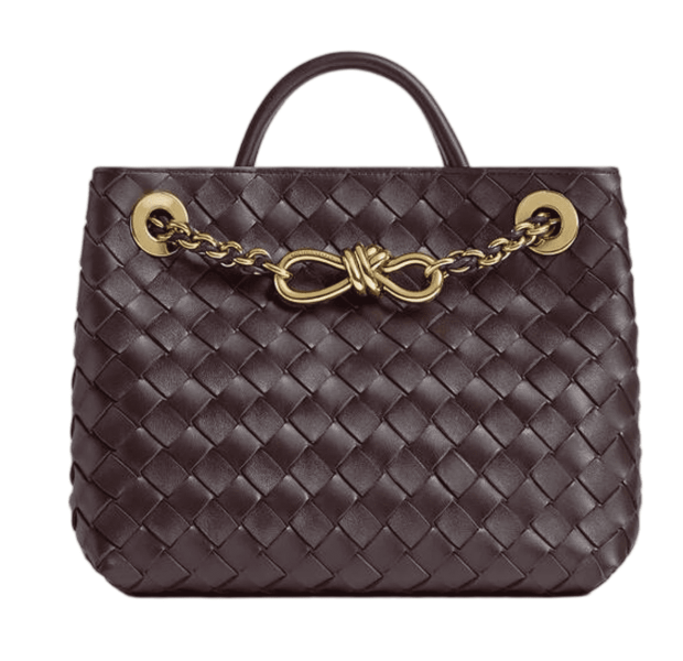 Bottega Veneta Small Andiamo Chain Dark Barolo