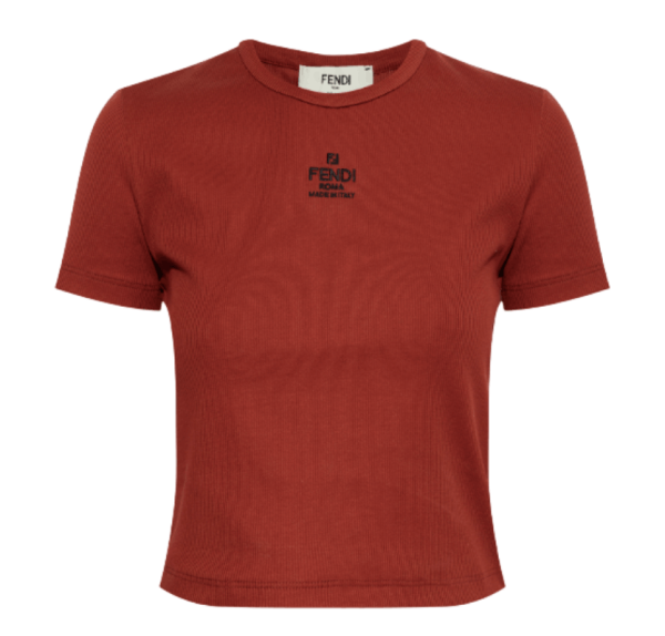 Rust Cotton T-Shirt 