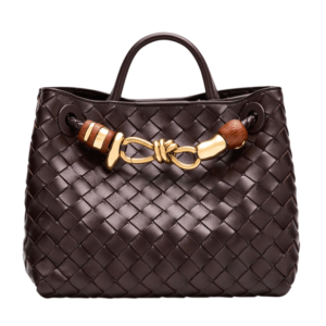 Bottega Veneta Andiamo Small Leather Top-handle Bag