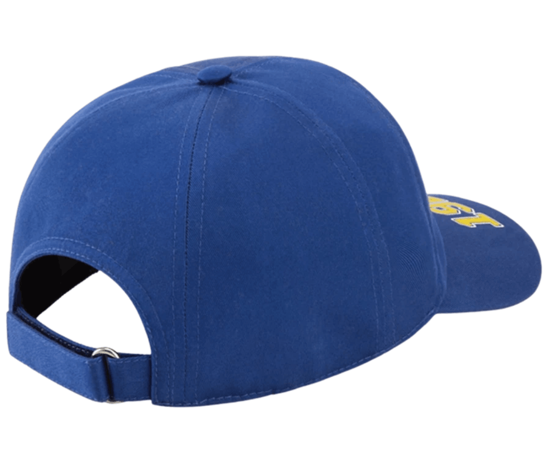Gucci Print Cotton Baseball Hat Blue