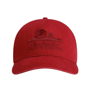 Aime Leon Dore Sun Faded Unisphere Hat Henna