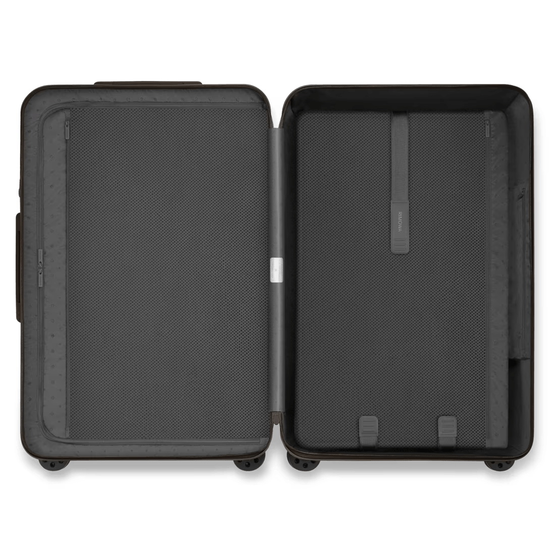 Check-In L (Cedar Brown)